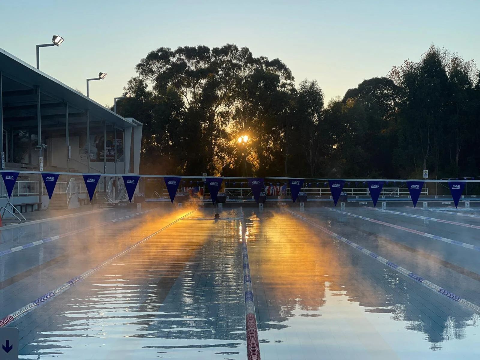 Auburn Pools Adult Learn to Swim Classes Swim Brothers